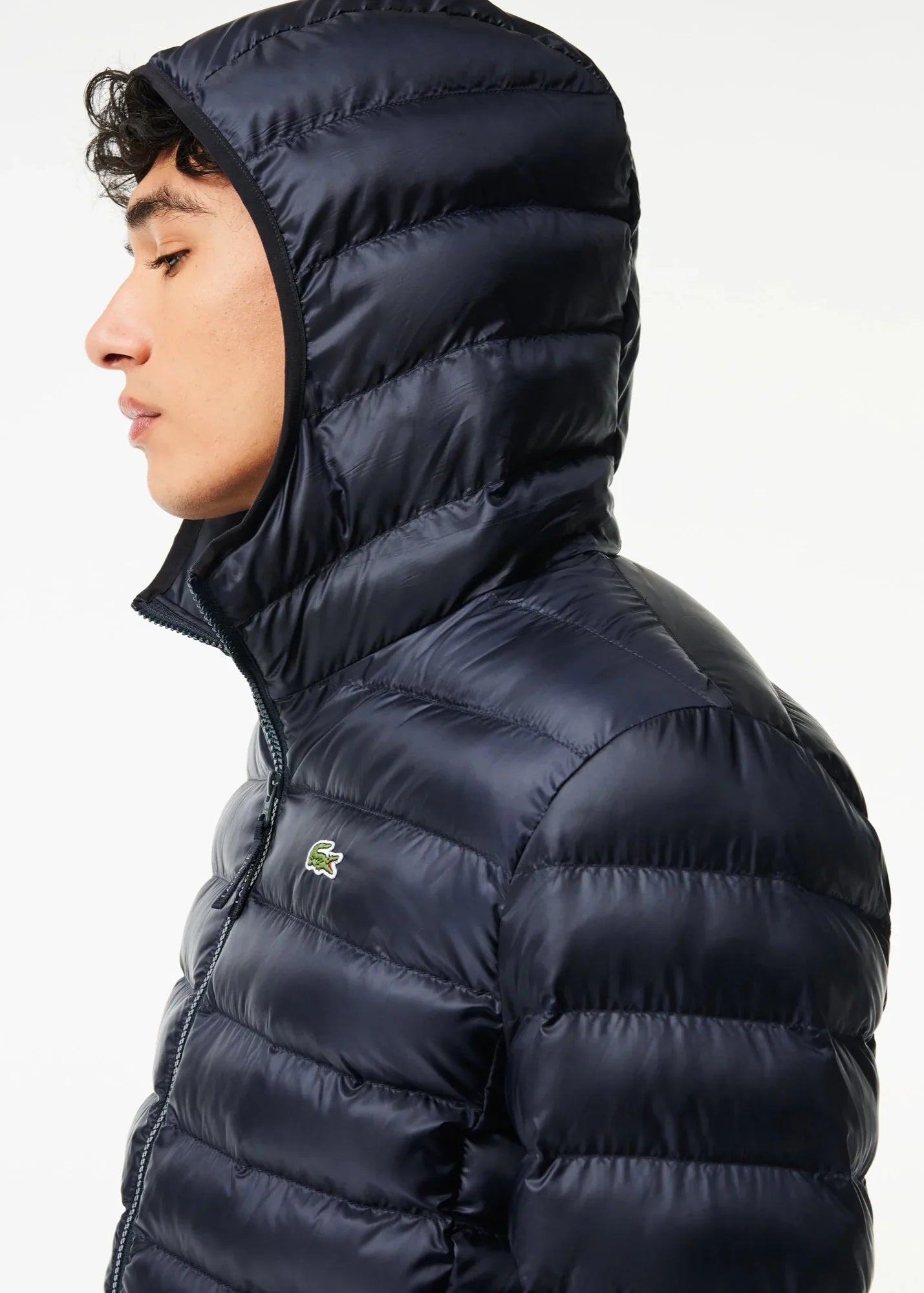 Doudoune à capuche Lacoste marine