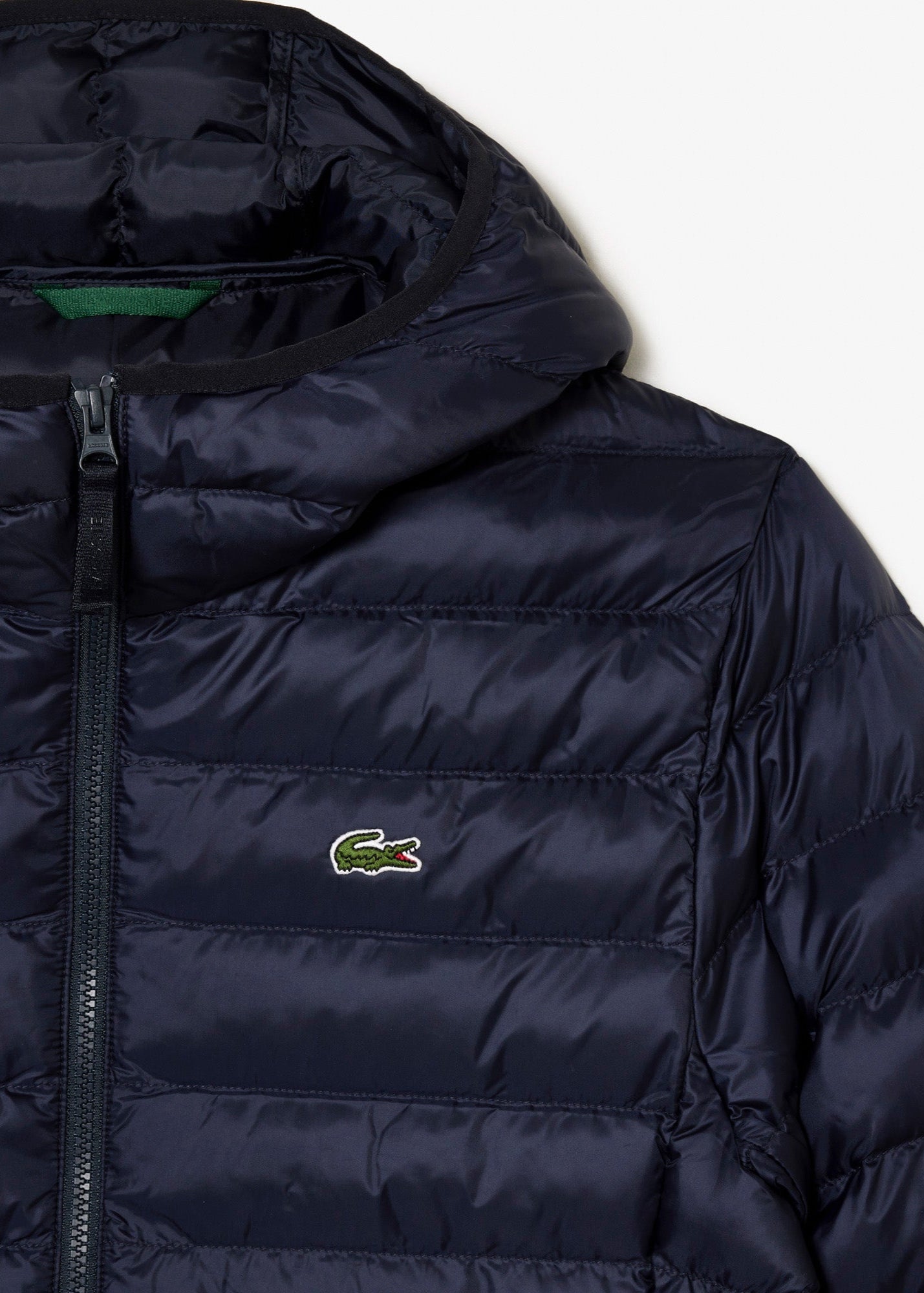 Doudoune à capuche Lacoste marine