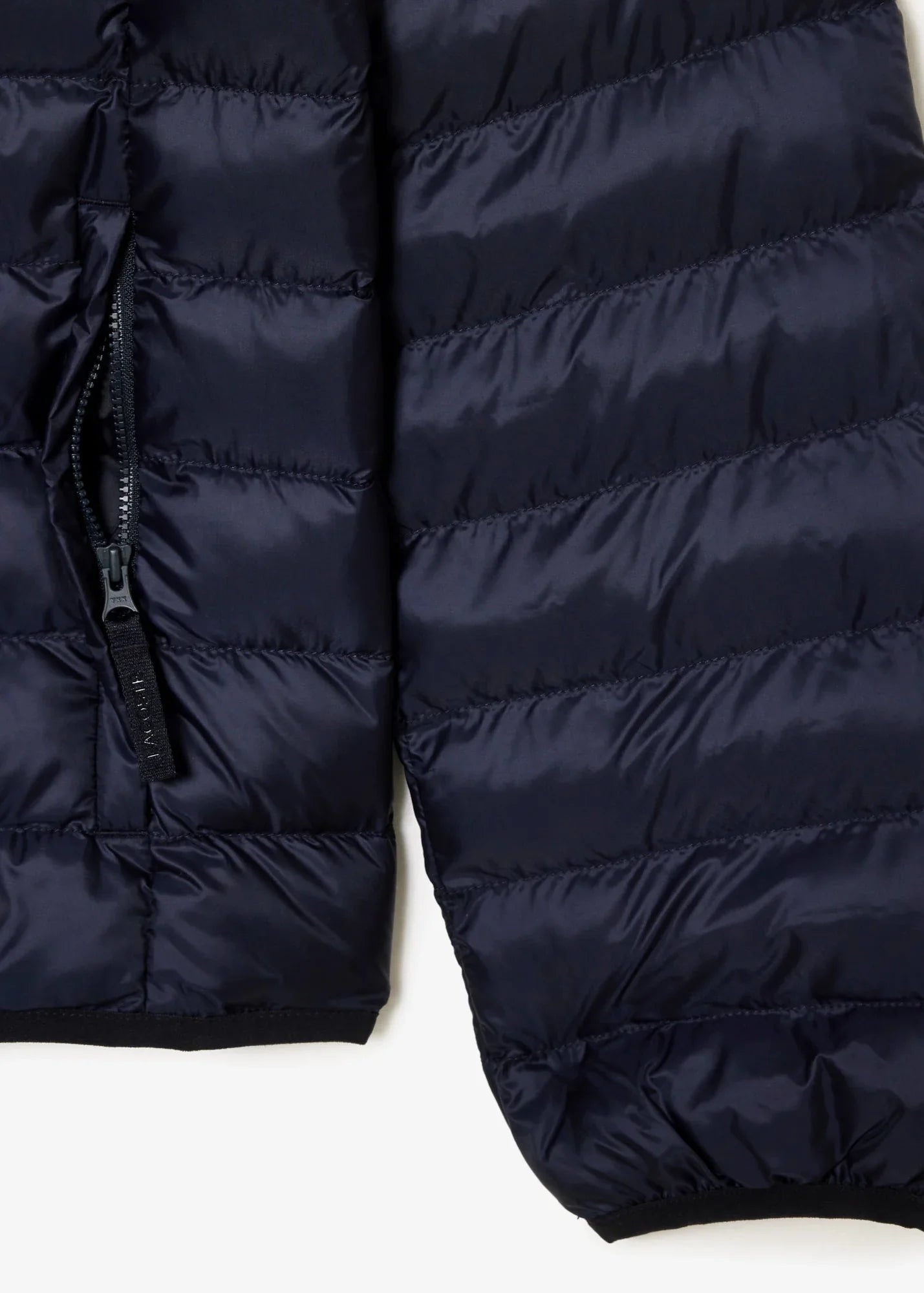 Doudoune à capuche Lacoste marine