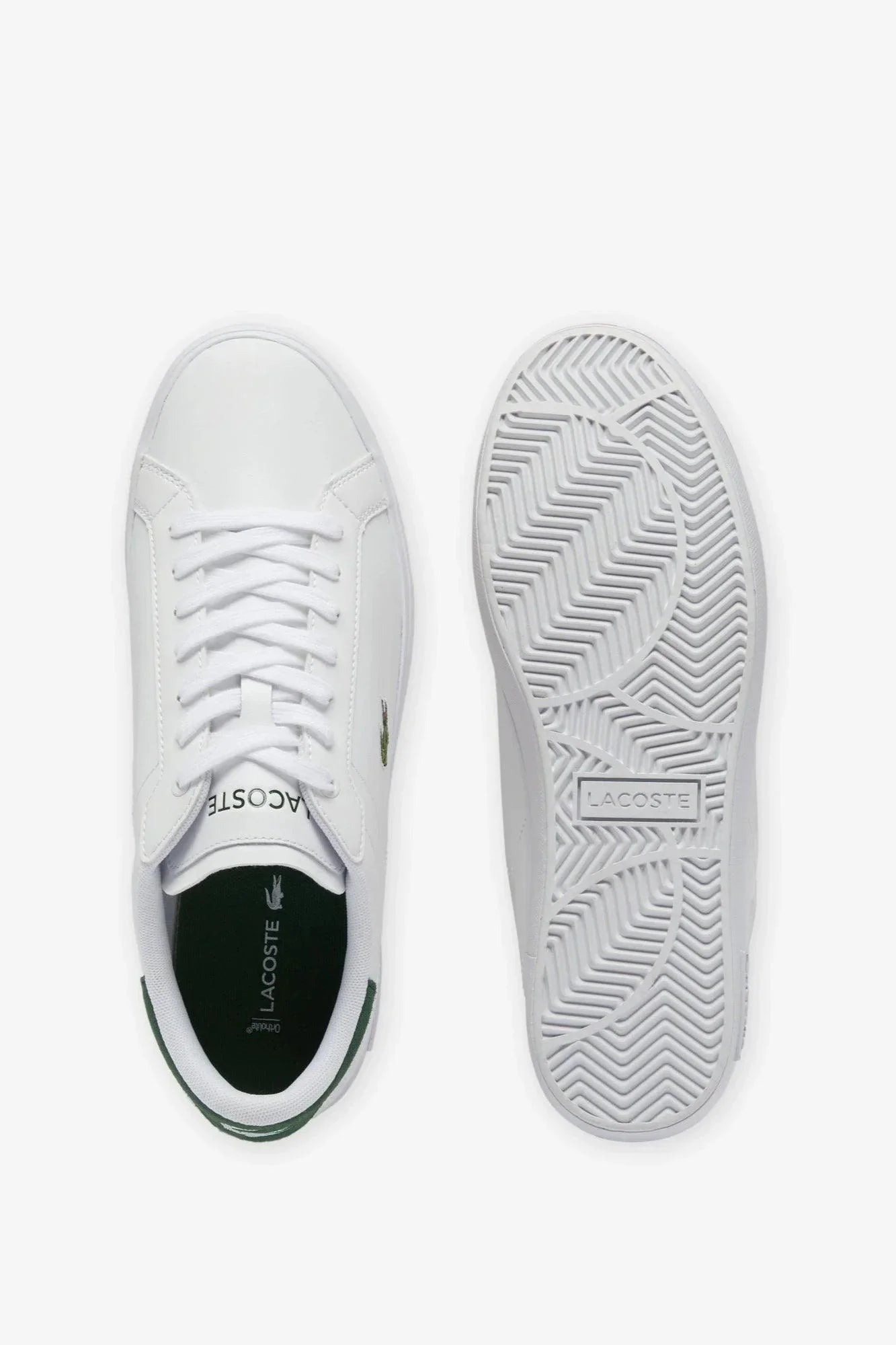 Baskets Lacoste classique verte