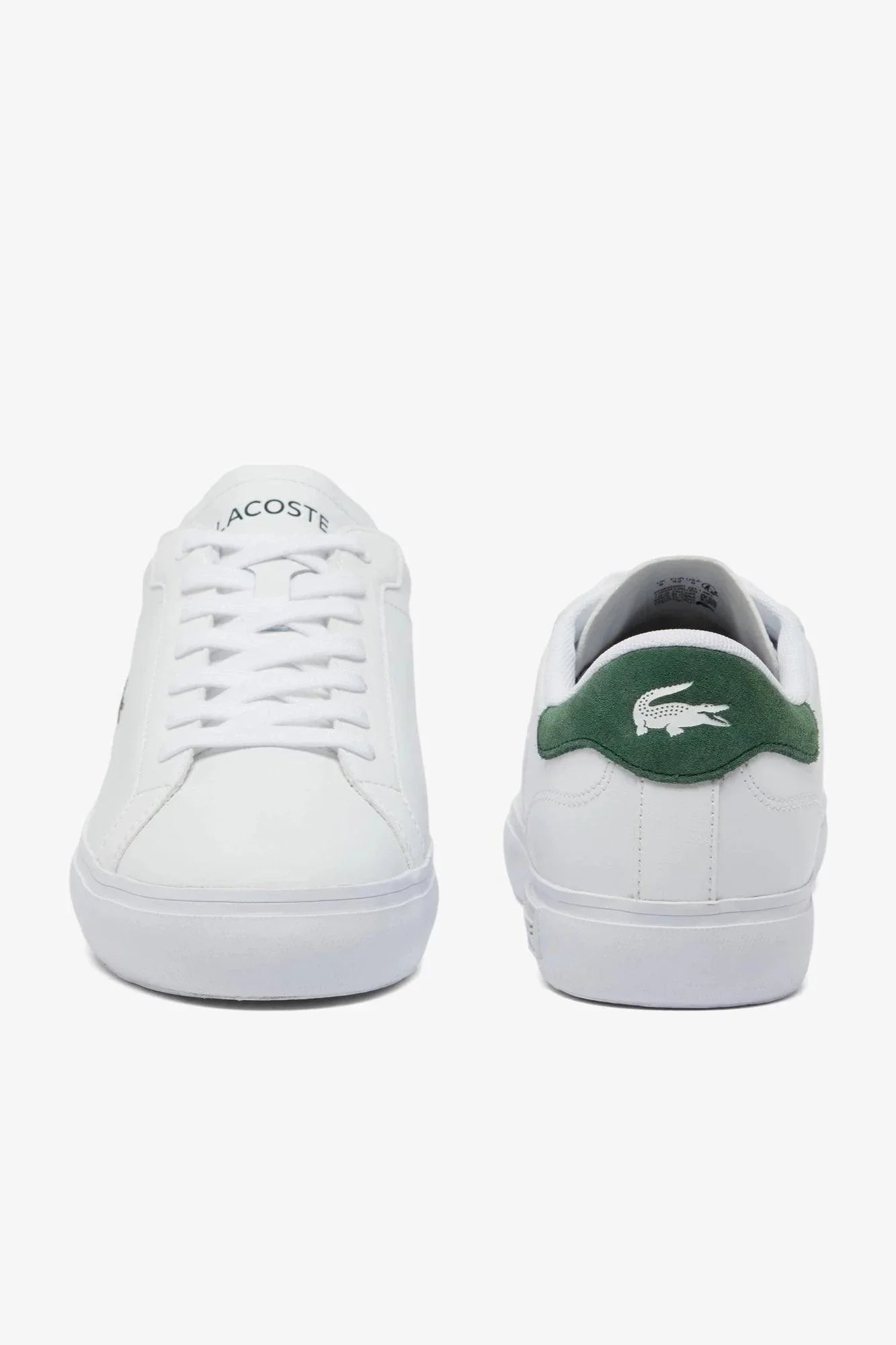 Baskets Lacoste classique verte