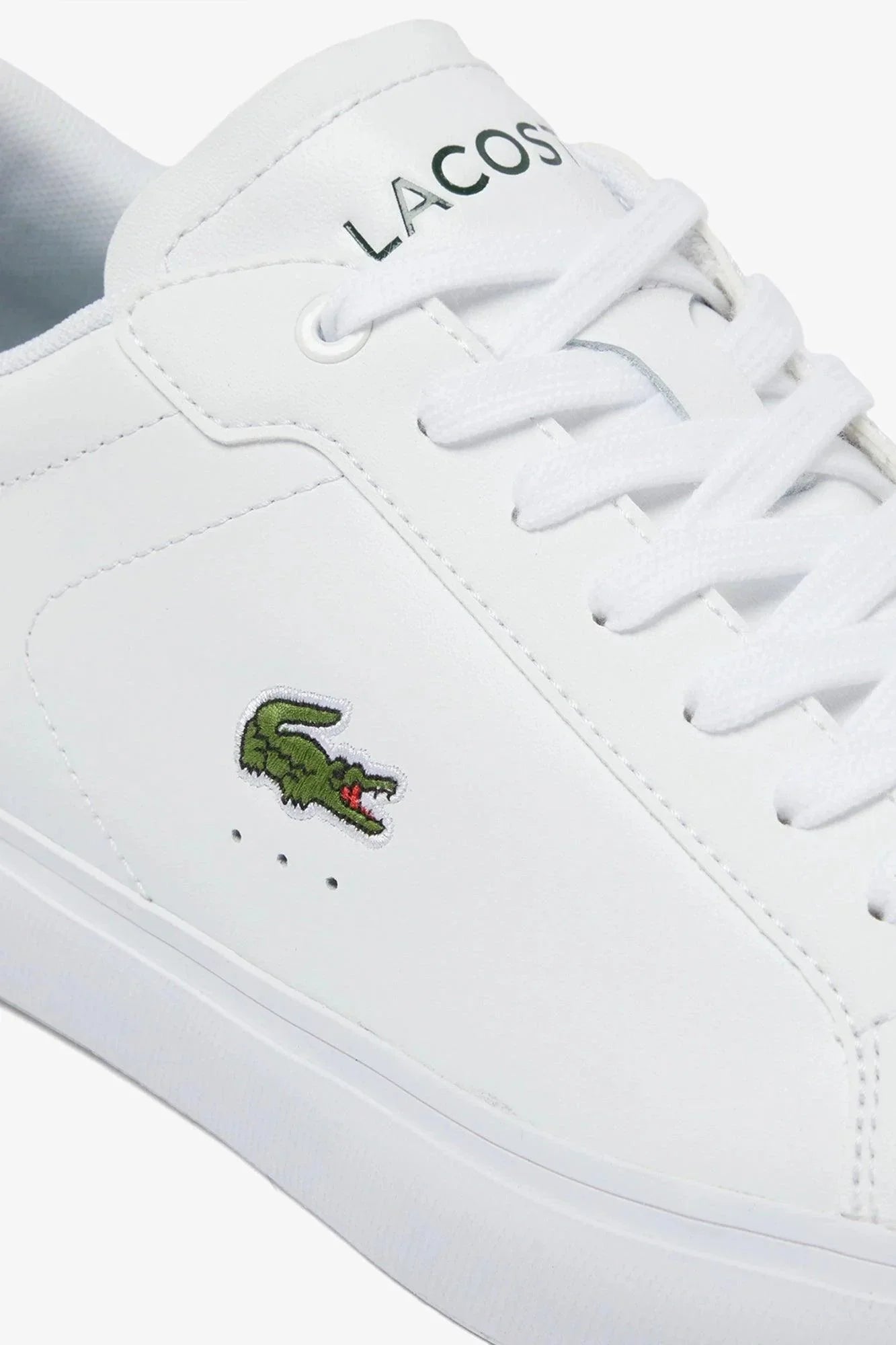 Baskets Lacoste classique verte