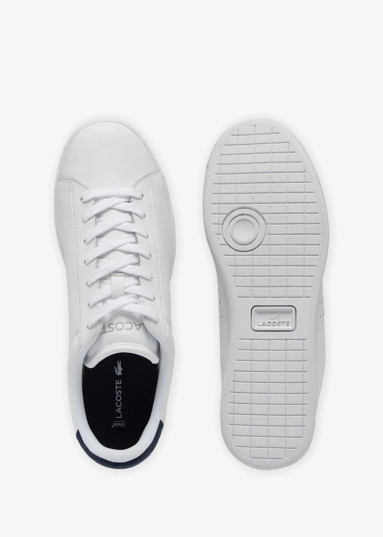 Baskets Lacoste classique bleu
